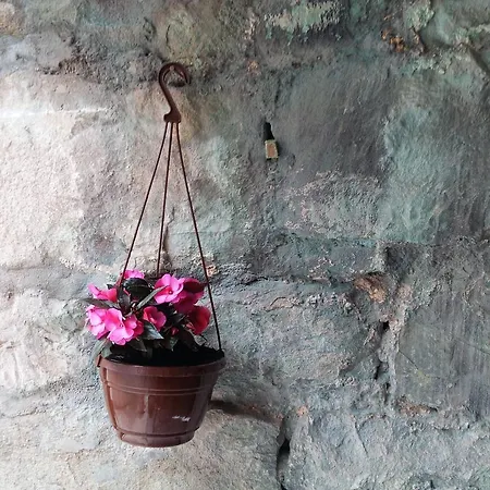 Apartamento Bepina *